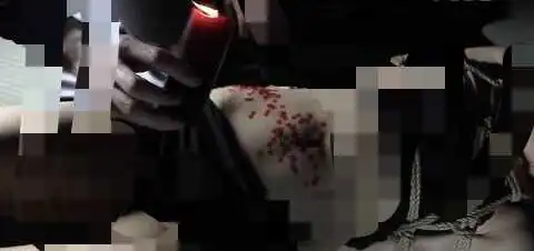 西檬之家-字母圈新人入圈指南：从BDSM理论到关系建立