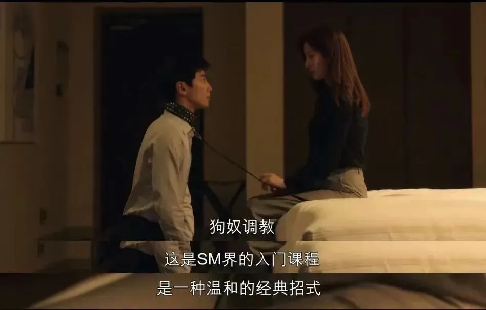 【西檬之家】K9是什么？字母圈新人指南：深度解析犬类扮演与安全原则