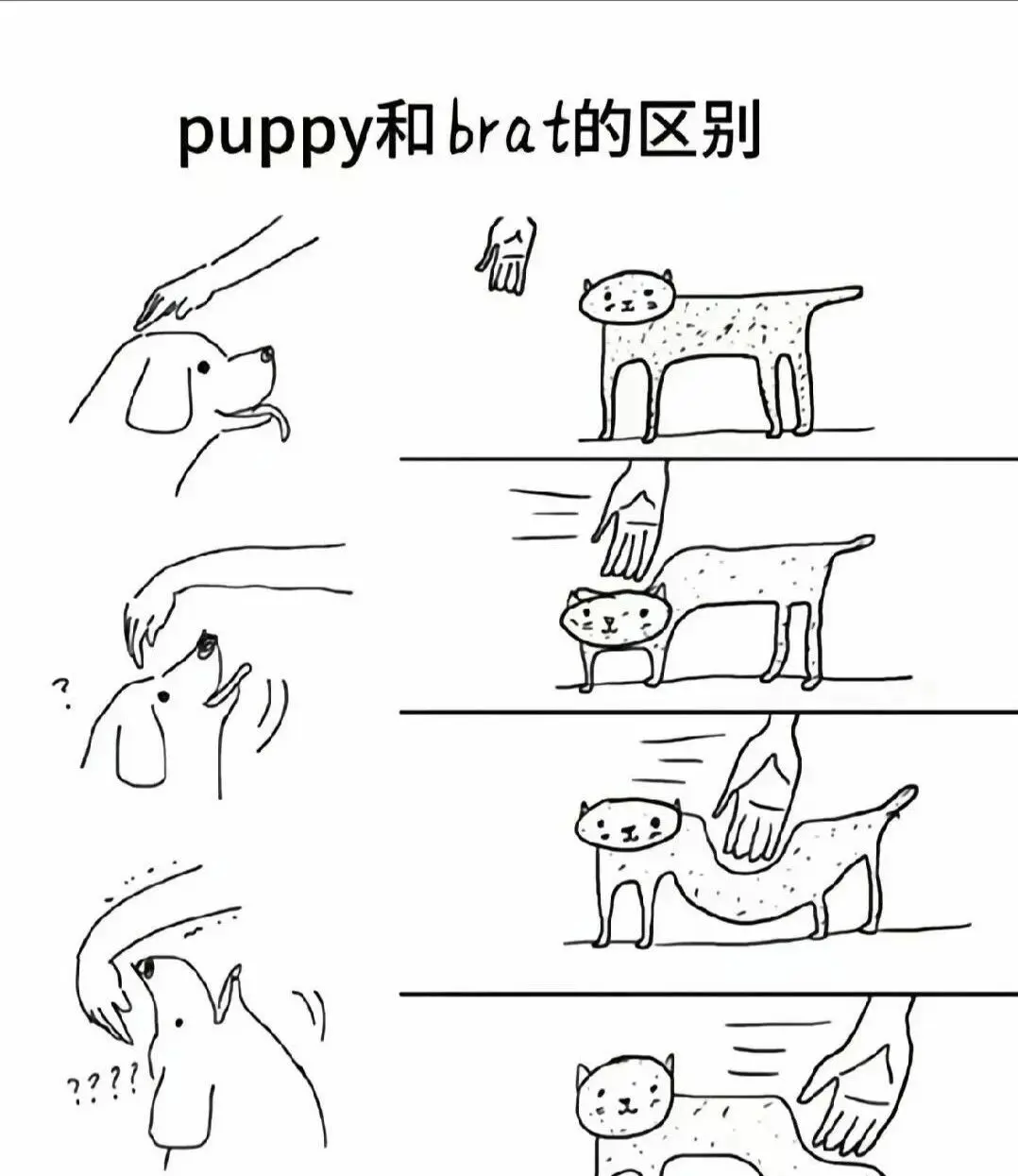 Spank - 微信图片_2025-11-13_180940_765