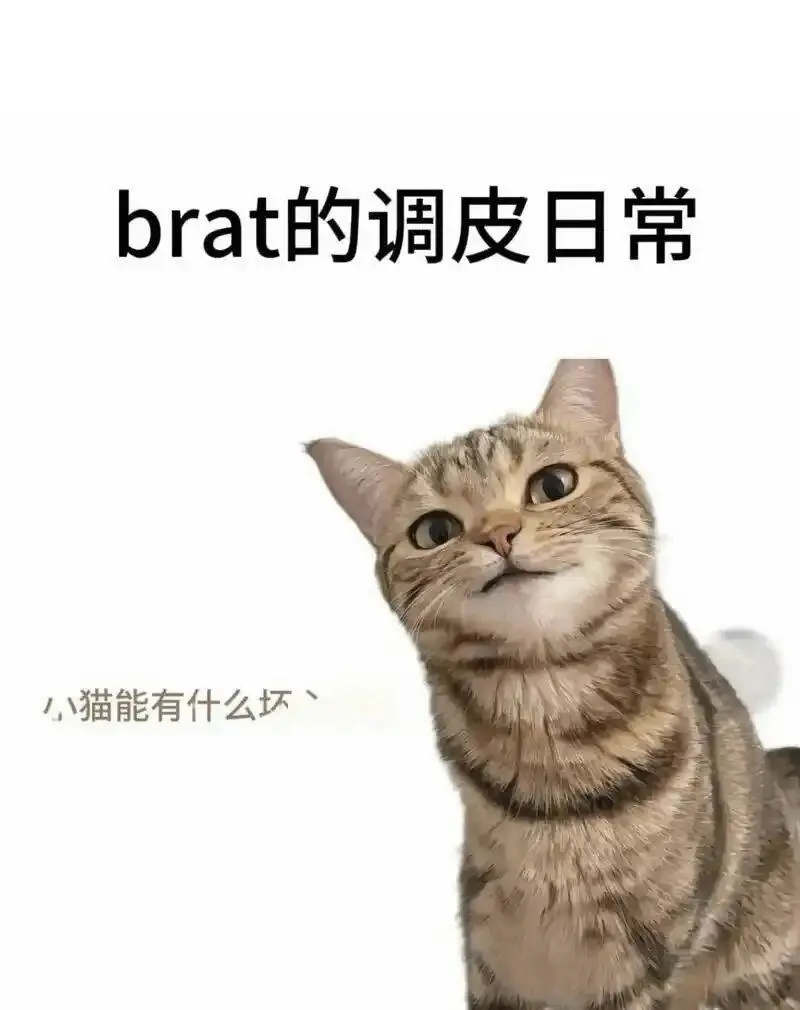 西檬之家-字母圈的aftercare是什么？