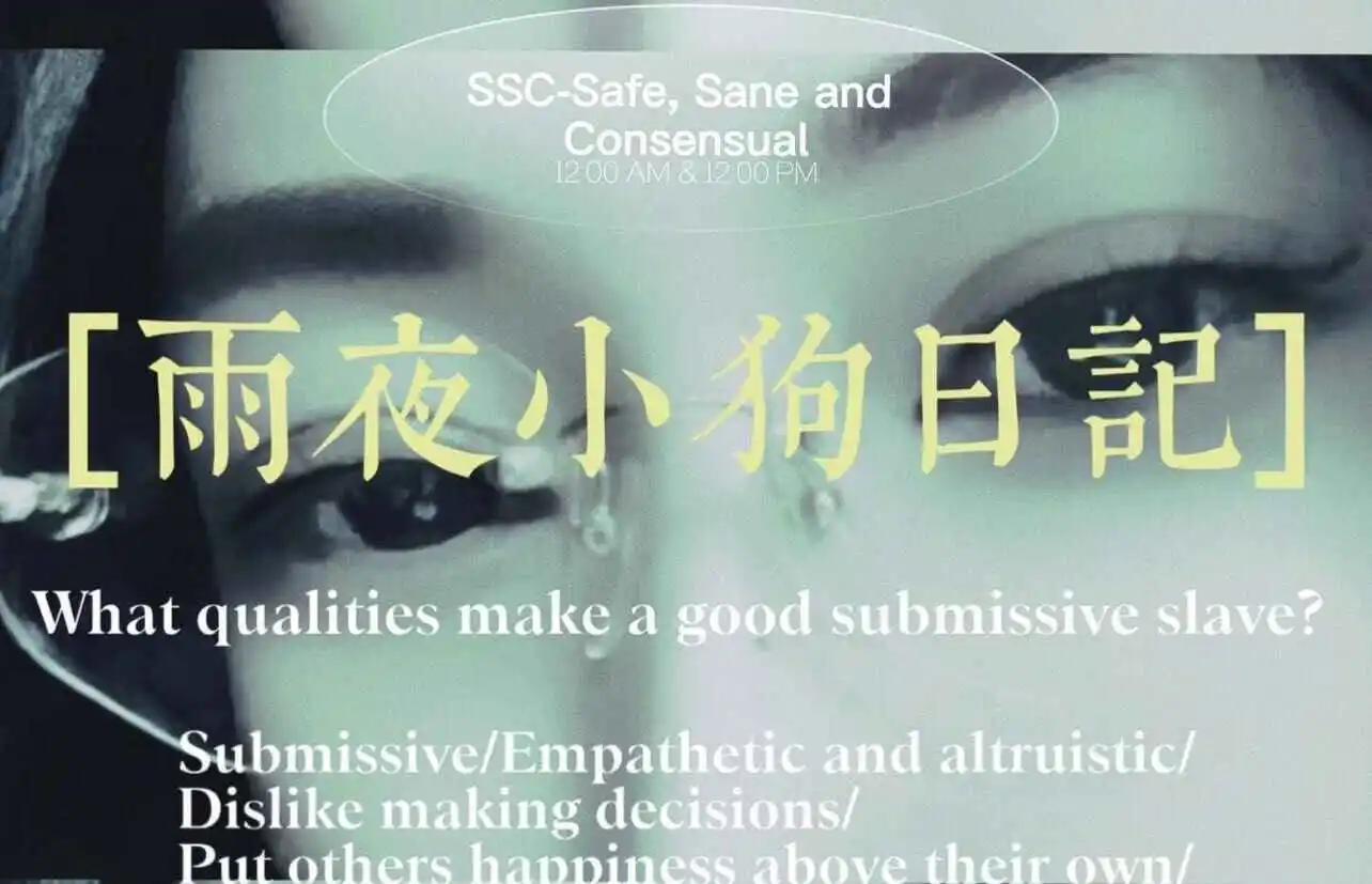 【西檬之家】BDSM新人入门指南：从理解基本概念到构建信任关系