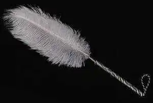 PE - 2023_12_10_17_28_IMG_9239