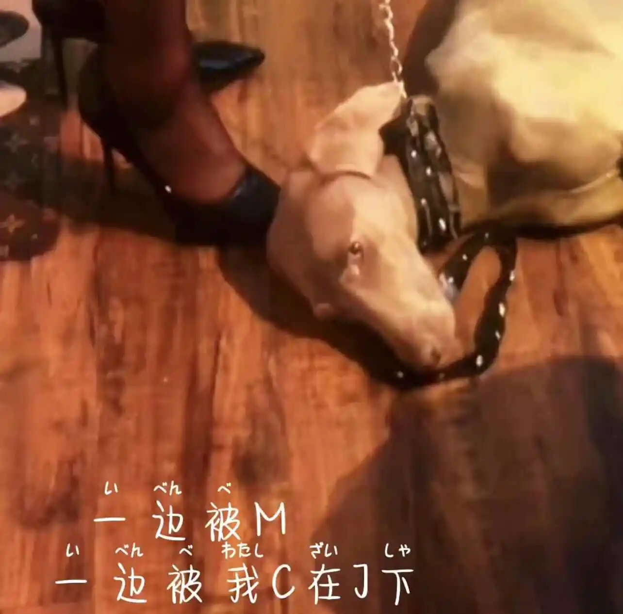 西檬之家-Dirty Talk是什么？字母圈新人入圈