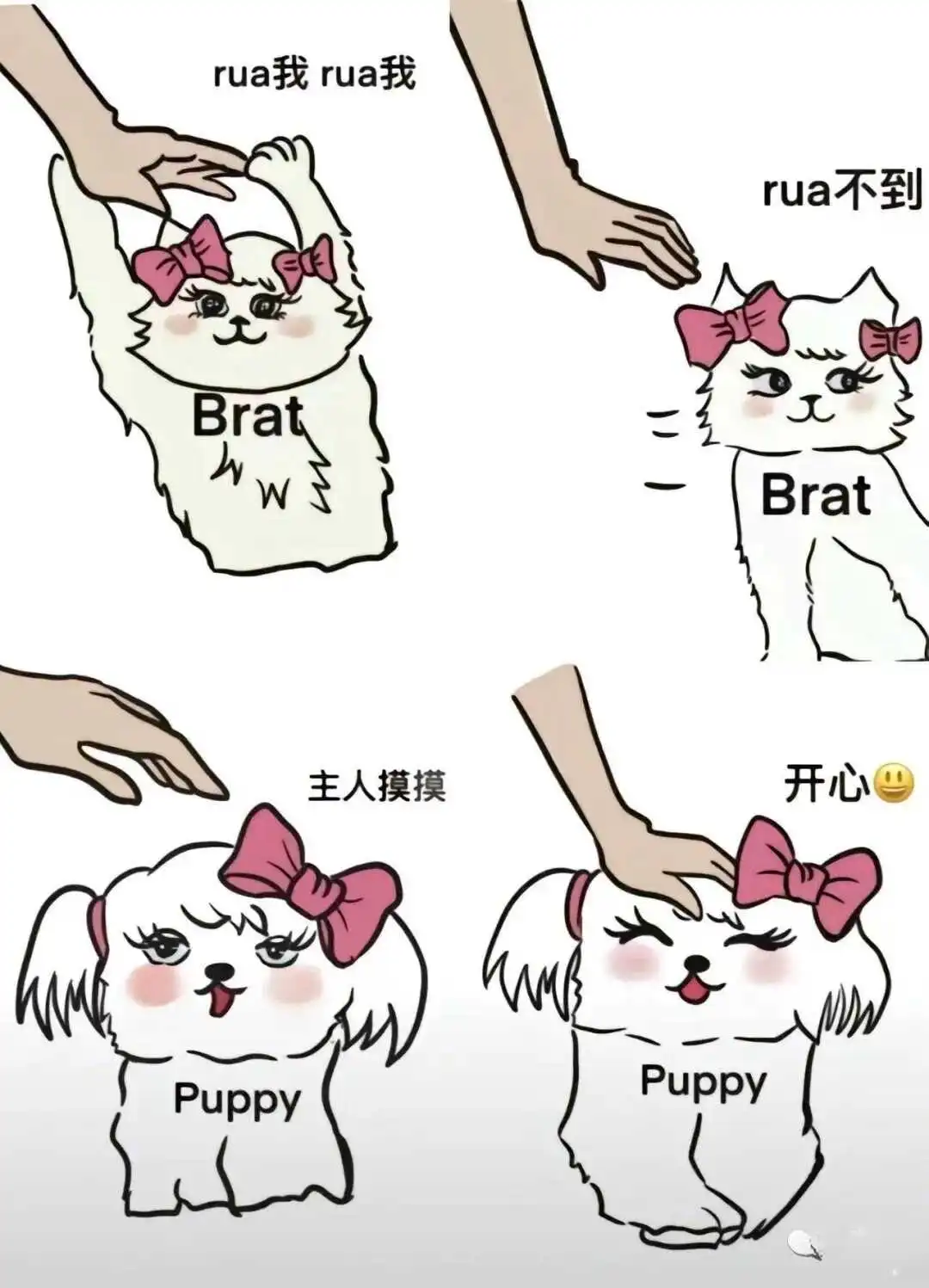 西檬之家-字母圈管教新人入圈指南