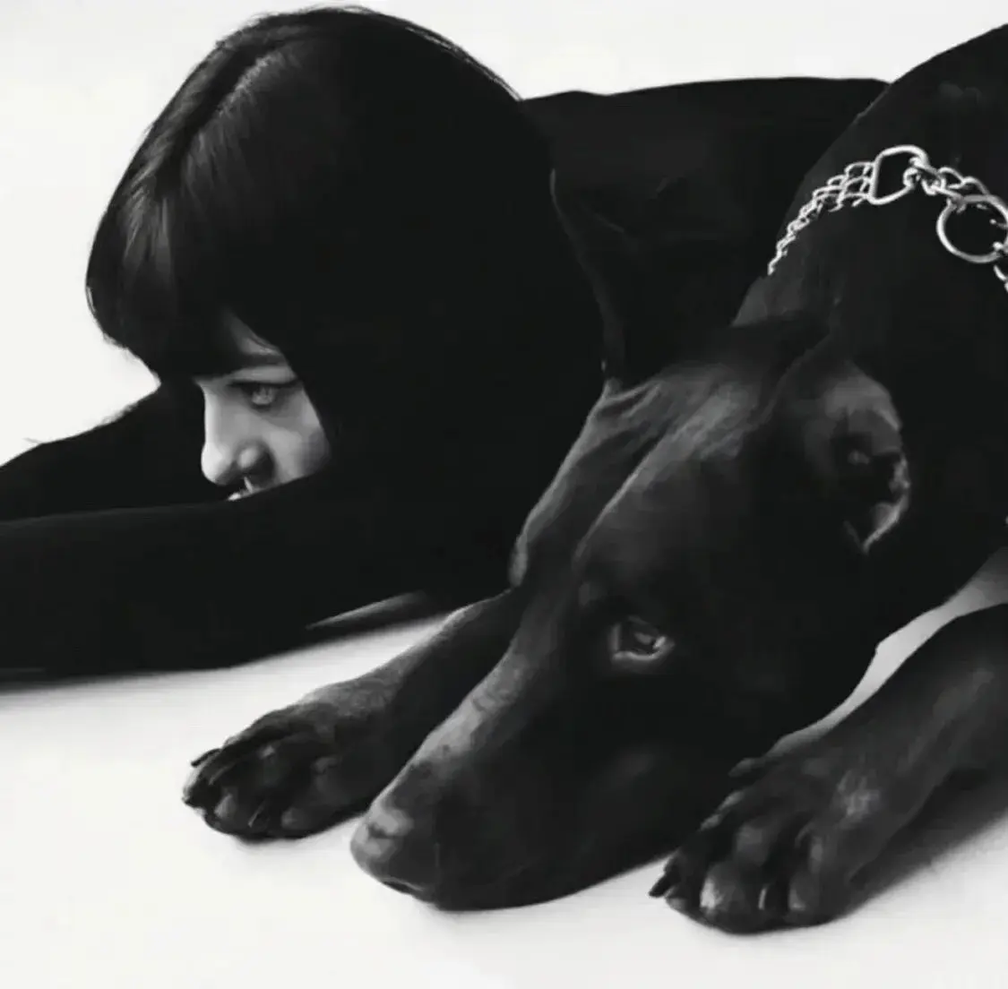 西檬之家-字母圈的Dom是什么意思？